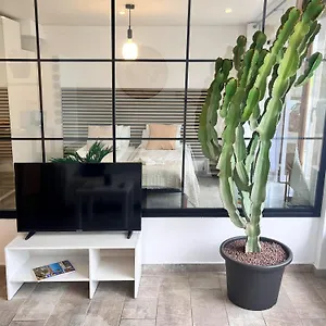 https://apt-cactus.in-canary-islands.com